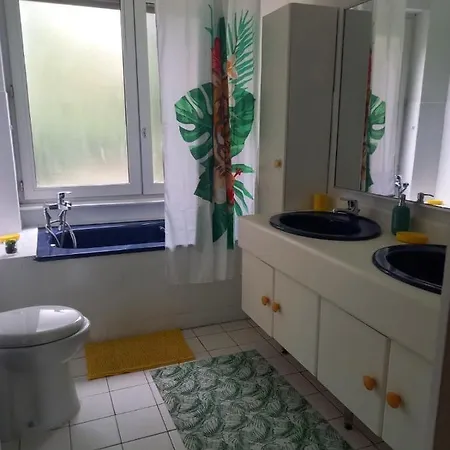 Bel Au Pied De La Vielle Apartment *